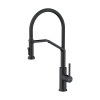 Смеситель для кухни OMOIKIRI Makkari 2 (4994495) с подключением к фильтру и выдвижной лейкой, графит