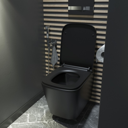 Унитаз подвесной безободковый IDDIS Bild (BILR2BMi25), черный