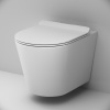 Подвесной безободковый унитаз Am.Pm Sunny (C85C1701SC) с сиденьем микролифт