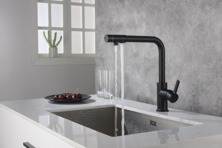 Смеситель для кухни Timo Hette (1026/03F) с подключением к фильтру, черный