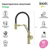 Смеситель для кухни с гибким изливом IDDIS Grange (GRAMGFLi05), золото