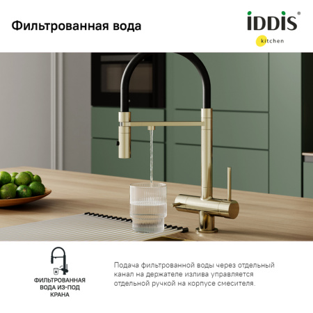 Смеситель для кухни с фильтром и гибким изливом IDDIS Ace (ACEMGFFi05), золото