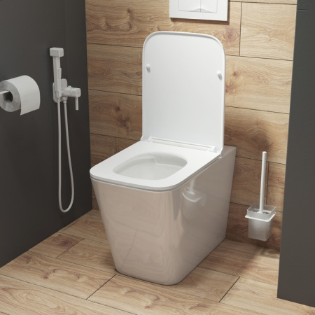 Унитаз приставной безободковый IDDIS Bild (BILRDSEi26)