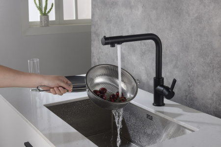 Смеситель для кухни Timo Hette (1026/03F) с подключением к фильтру, черный