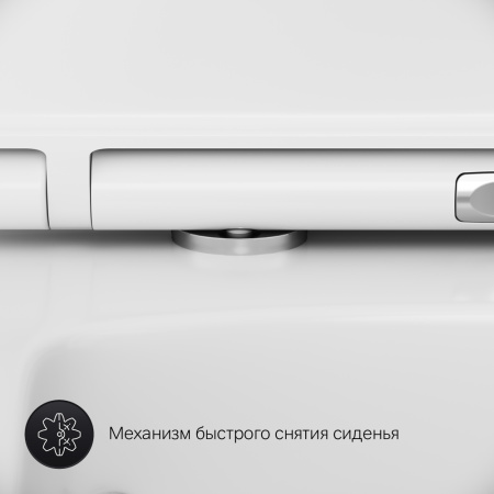 Унитаз подвесной Am.Pm Inspire V2.0 (C50A1700SC) безободковый, с сиденьем микролифт