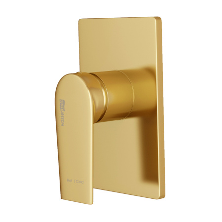 Смеситель для душа WasserKRAFT Aisch (5551), золото