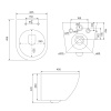 Унитаз подвесной IDDIS Blanco (BLARDSEi25), безободковый